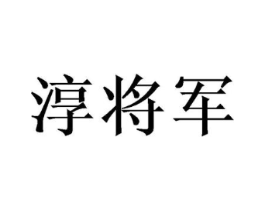 淳将军[56666178] - 第11类 家用电器